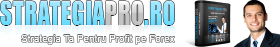 StrategiaPro.ro logo